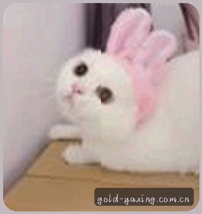 孙磊